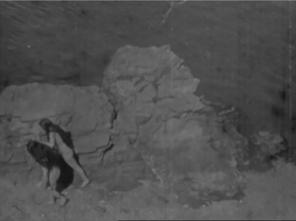 the octopus film