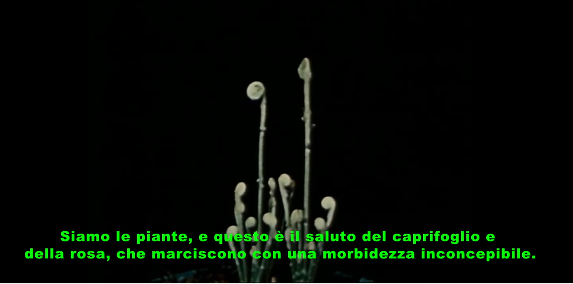 frame da video