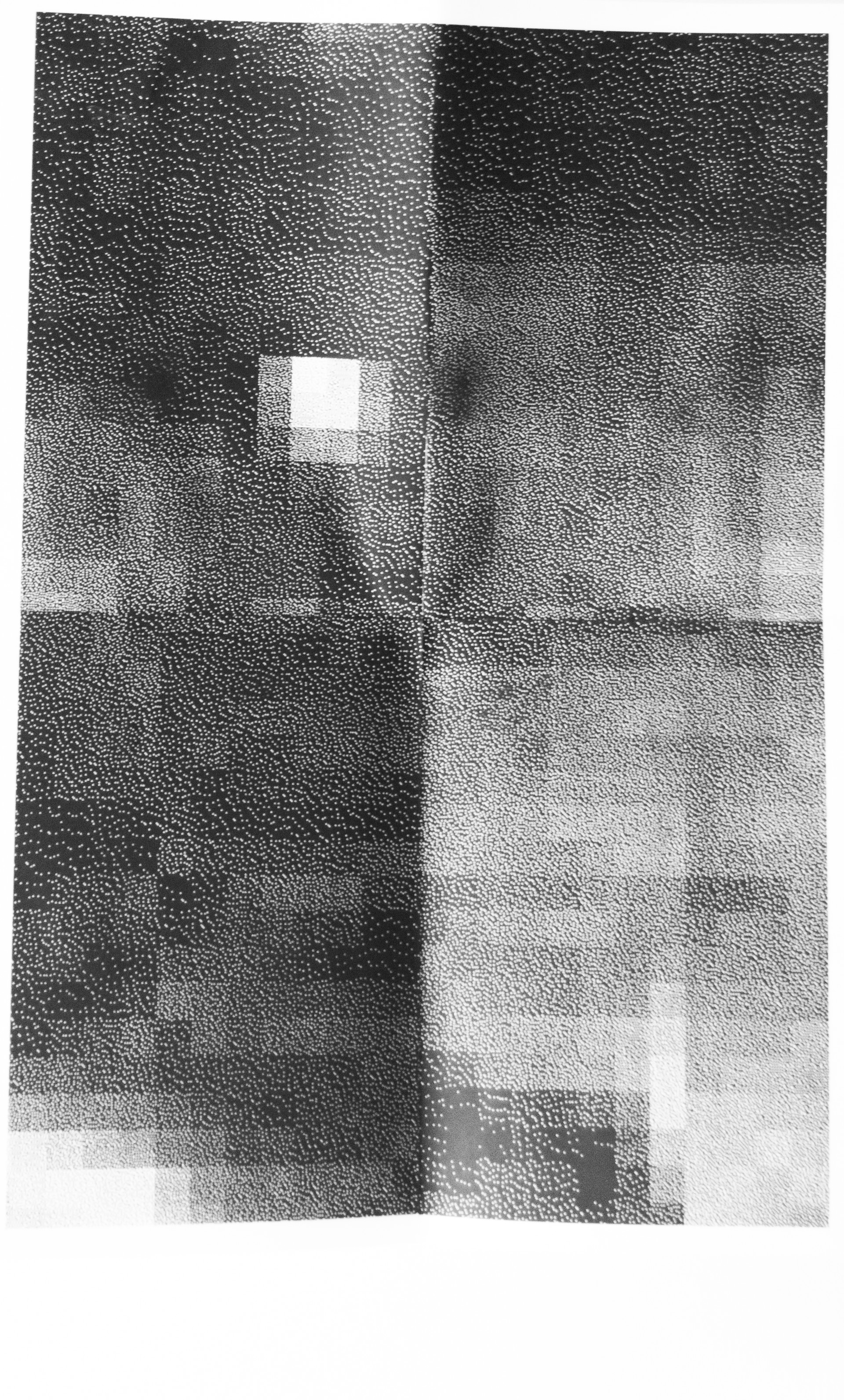 punti di vista litografia